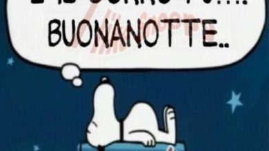 Link Di Buonanotte Divertenti Immagini