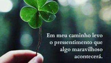 A Frase De Bom Dia Para Facebook