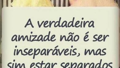 A Melhor Frase Sobre Amizade