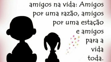 Amizade Amor Frases Para Whatsapp