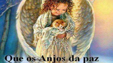 As Frases Mais Lindas De Boa Noite Para Facebook