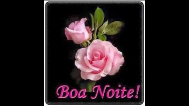 Boa Noite A Para Whatsapp