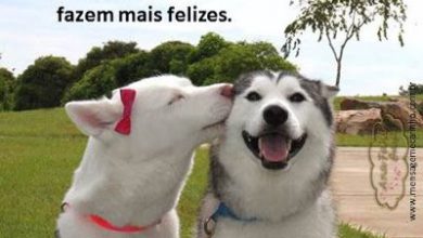 Boa Tarde Amigos E Amigas