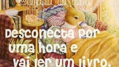 Bom Dia Alegria Frases Para Facebook