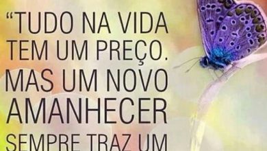 Bom Dia Com Carinho Frases Para Whatsapp