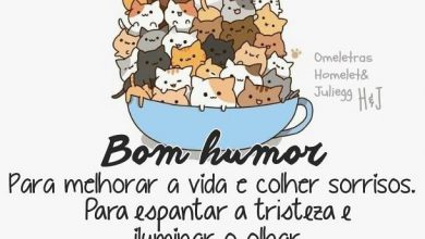 Bom Dia Com Para Facebook