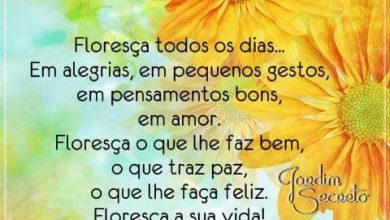 Bom Dia Fe