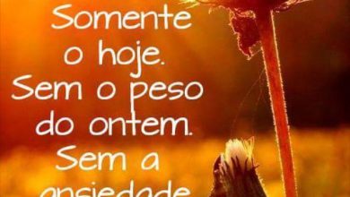 Bom Dia Frases Do Bem Para Facebook