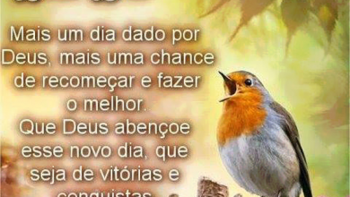 Bom Dia Lindas Frases Para Facebook