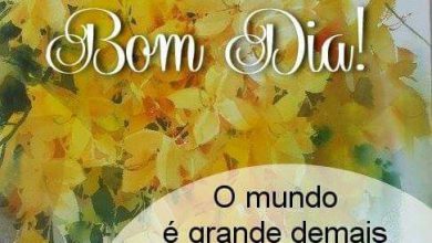 Bom Dia Vida Frases Para Whatsapp