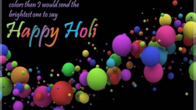 Desi Holi