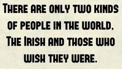 Famous Irish Sayings In Gaelic 390x220 - Famous Irish Sayings In Gaelic