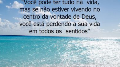 Fotos Com Frases De Boa Tarde