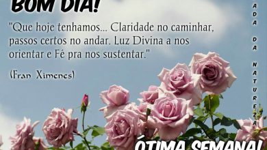 Frases Bom Começo De Semana