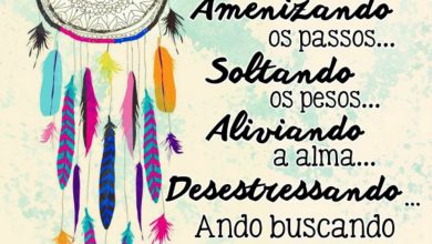 Frases Bom Dia Amiga Especial