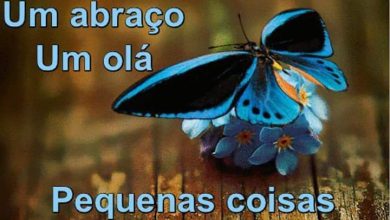 Frases Bom Dia Amiga Especial Para Whatsapp