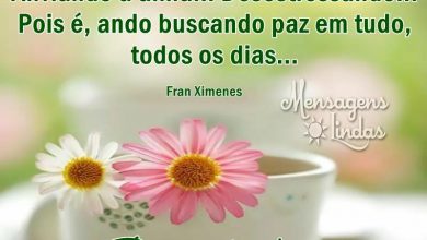 Frases Bom Dia Para Whatsapp