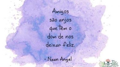 Frases De Amizade Especial