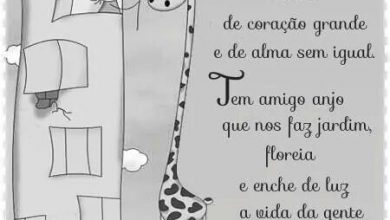 Frases De Amor E Amizade