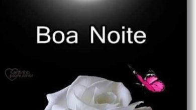 Frases De Boa Noite Com Muito Carinho