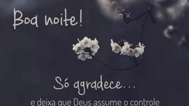 Frases De Boa Noite Minha Linda Para Facebook