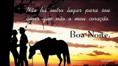 Frases De Boa Noite Para Tia