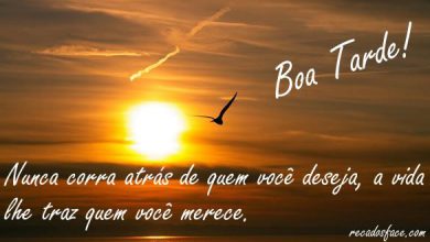 Frases De Boa Tarde Especial