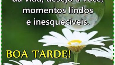 Frases De Boa Tarde Legais