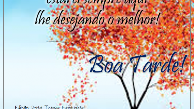 Frases De Bom Boa Tarde