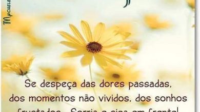 Frases De Bom Dia Bonitas Para Whatsapp