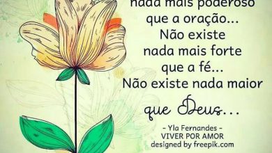 Frases De Bom Dia Com Alegria Para Facebook