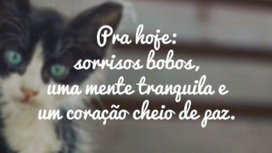 Frases De Bons Dias