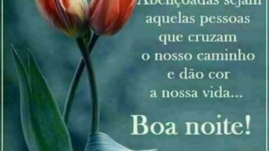 Frases De Uma Noite Para Facebook