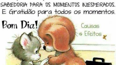 Frases E Mensagens De Bom Dia Para Whatsapp