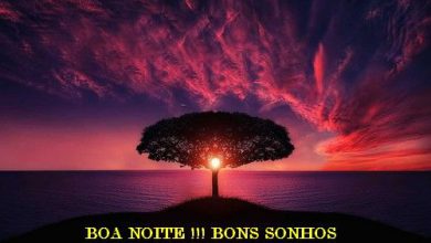 Frases Especial De Boa Noite