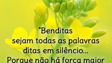 Frases Felizes De Bom Dia Para Whatsapp