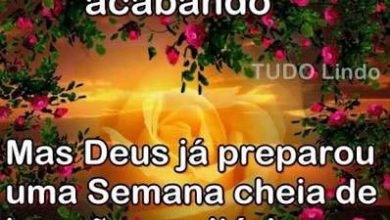 Frases Lindas Boa Noite