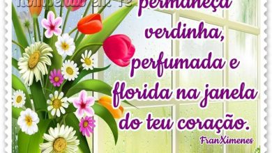 Frases Lindas De Boa Tarde Amor