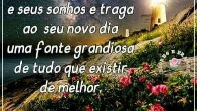 Frases Lindas De Boa Tarde Para Uma Pessoa Especial