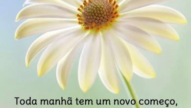 Frases Mais Lindas De Bom Dia Para Facebook