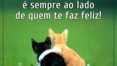 Frases Motivadoras De Amizade Para Whatsapp