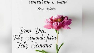 Frases Para Começar Uma Boa Semana