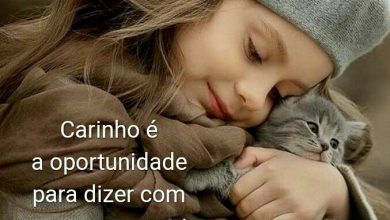 Frases Sobre Amizade Verdadeira Para Facebook