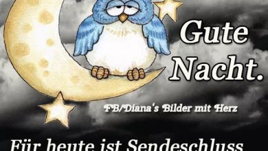 Gute Nacht Geschichten Für 3 Jährige