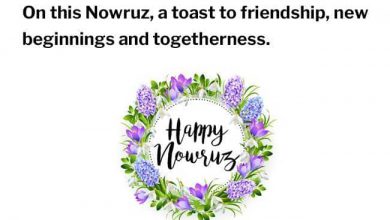 Happy Norooz In Farsi 390x220 - Happy Norooz In Farsi