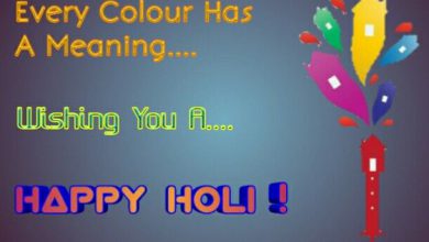 Holi Festival Information In English 390x220 - Holi Festival Information In English