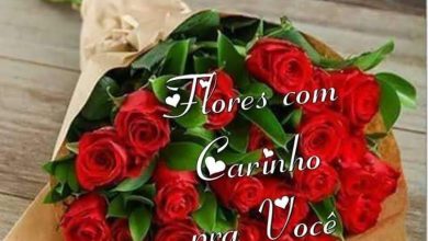 Lindas Mensagens De Boa Noite Amor Para Whatsapp