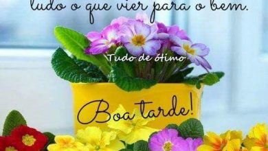 Lindas Msgs De Boa Tarde