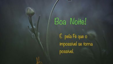 Mensagem De Amor De Boa Noite 1