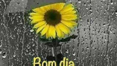 Mensagens Diferentes De Bom Dia Para Whatsapp